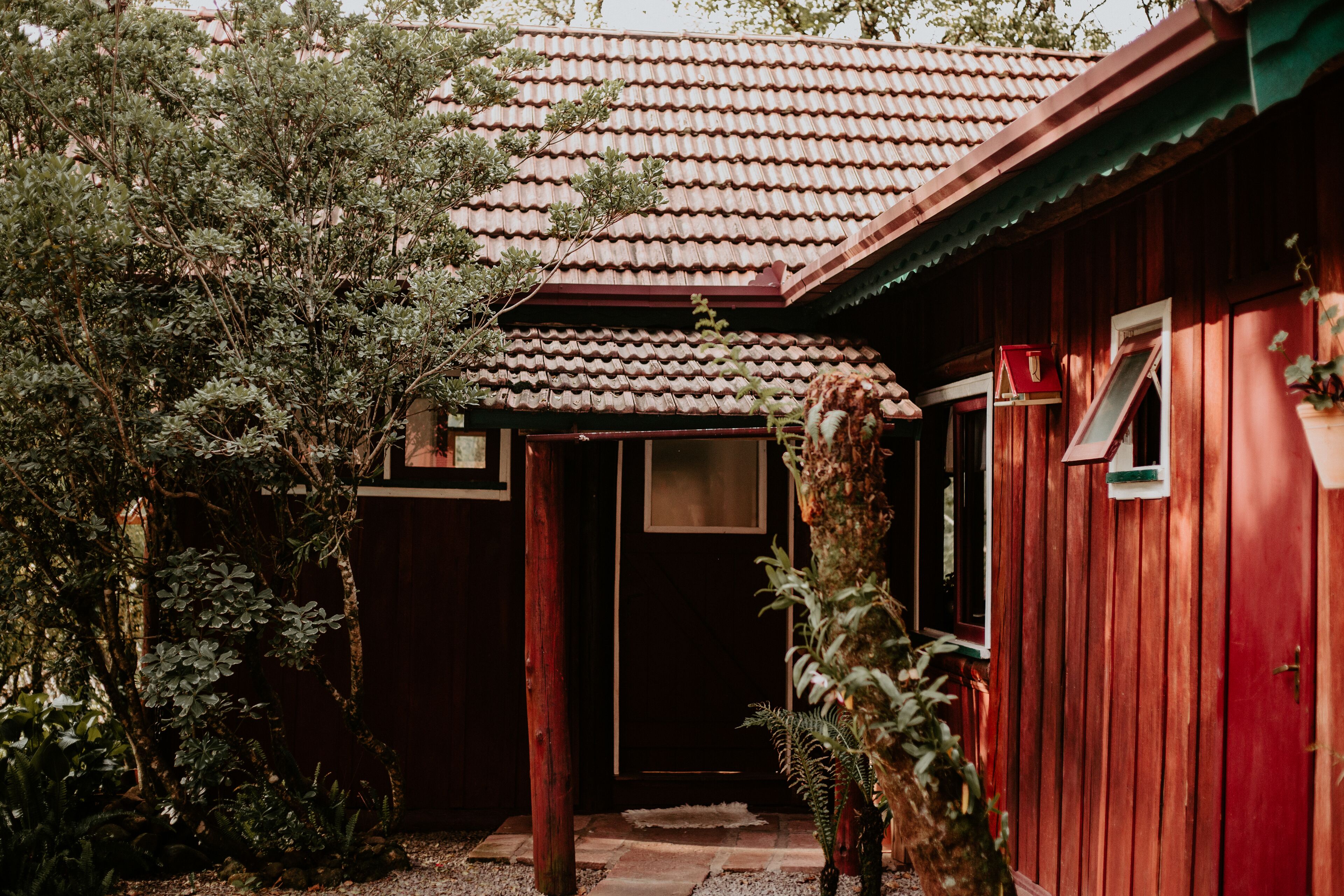 A wooden building with a tiled roof, surrounded by dense foliage.