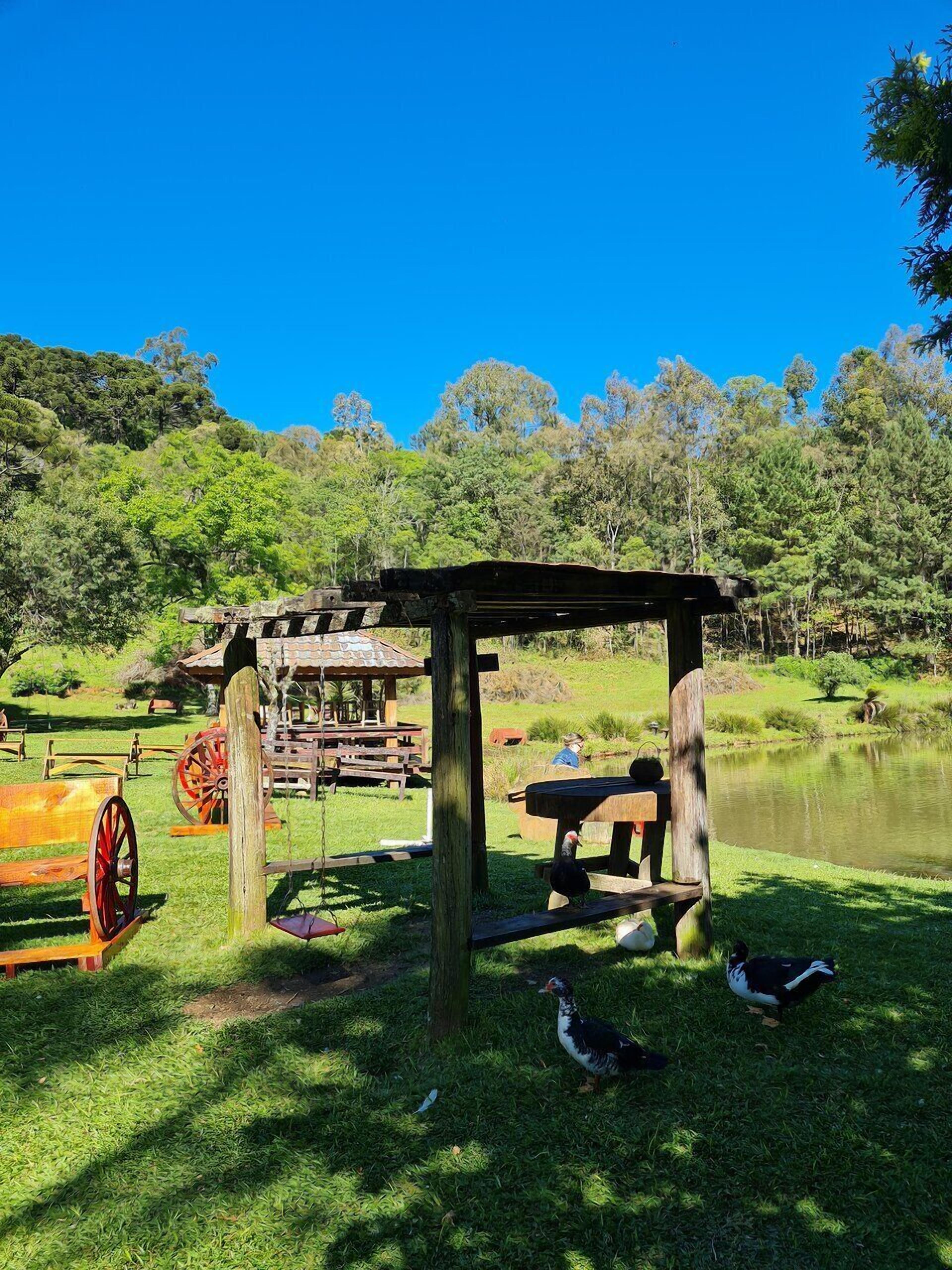 Ein rustikaler Holzkiosk mit Bänken und einer Schaukel, umgeben von einem Teich und üppigem Grün.