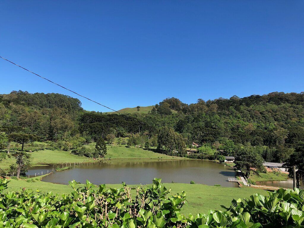 A serene lakeside view with a clear sky, lush greenery, and a small pond.