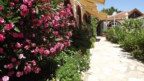 Un camino de piedra flanqueado por abundante follaje y flores rosadas, que conduce a un edificio con toldo amarillo y ventanas arqueadas.