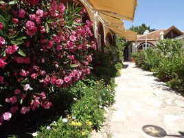 Fachada del alojamiento