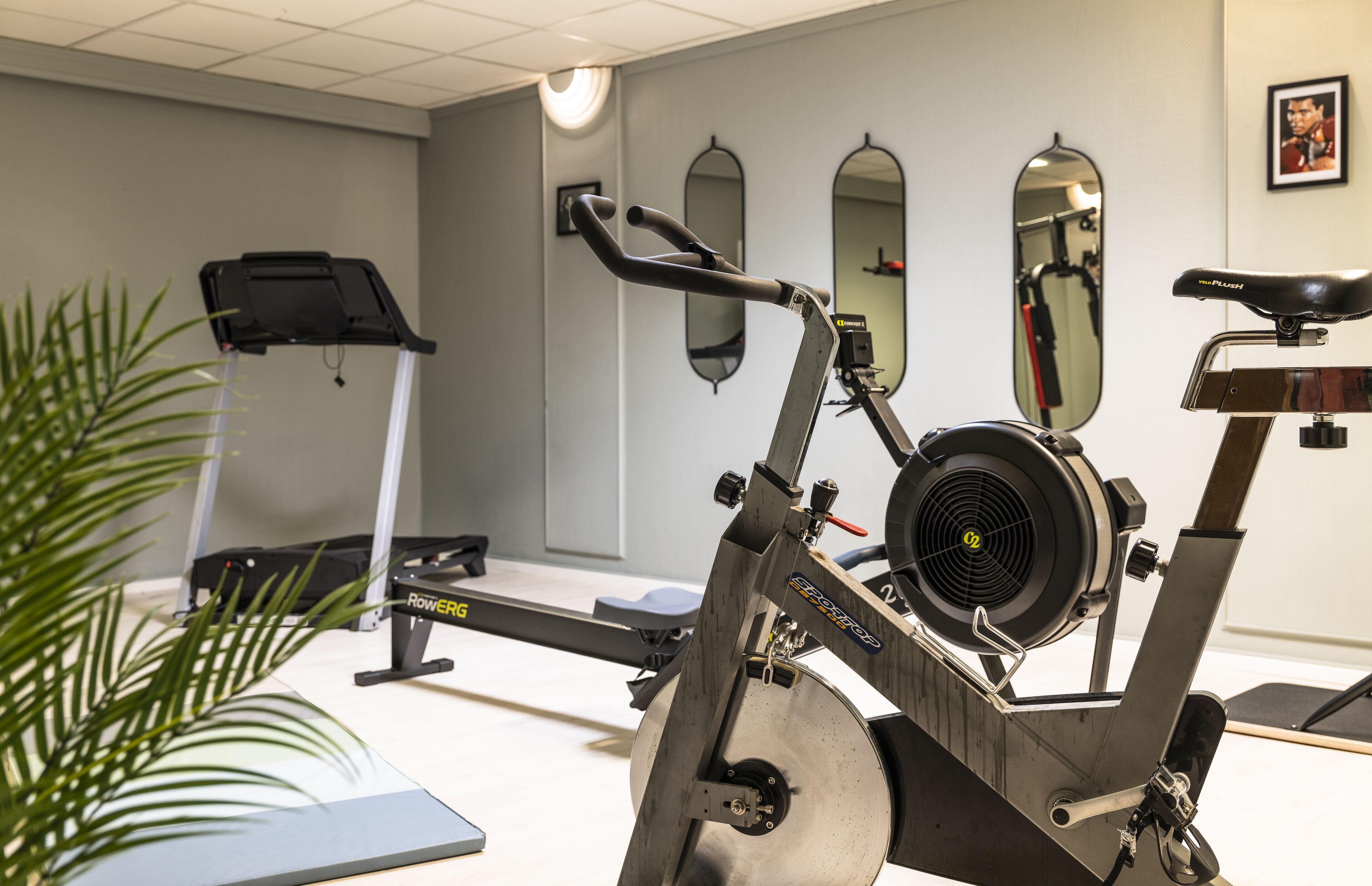 Un vélo d’appartement, un tapis de course et un miroir dans une salle de sport, avec une plante.
