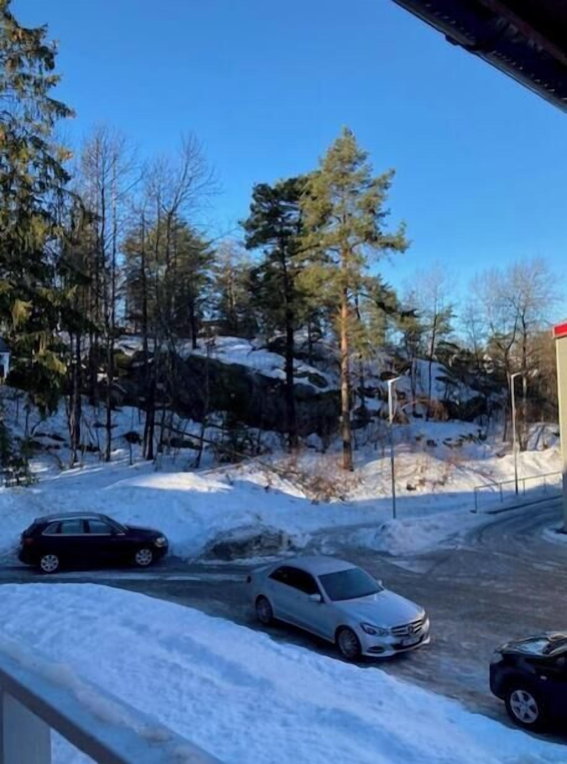 Un estacionamiento con suelo cubierto de nieve y coches aparcados.