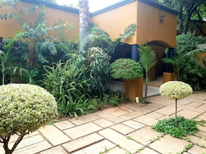A courtyard with a paved walkway, surrounded by various green plants and trees, and a building with a yellow facade.