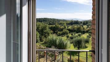 Triple Room, Valley View | View from room