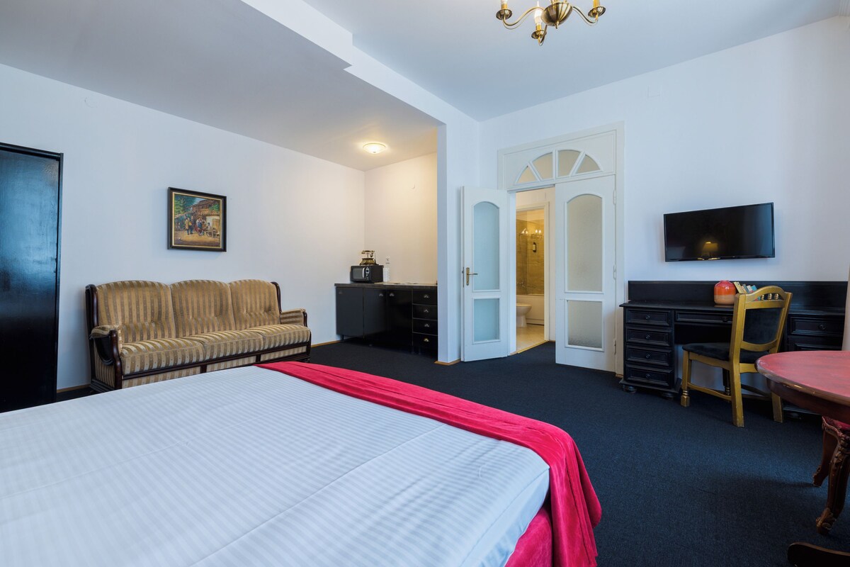 A hotel room with a bed, a sofa, a desk, a television, and a door leading to a bathroom.