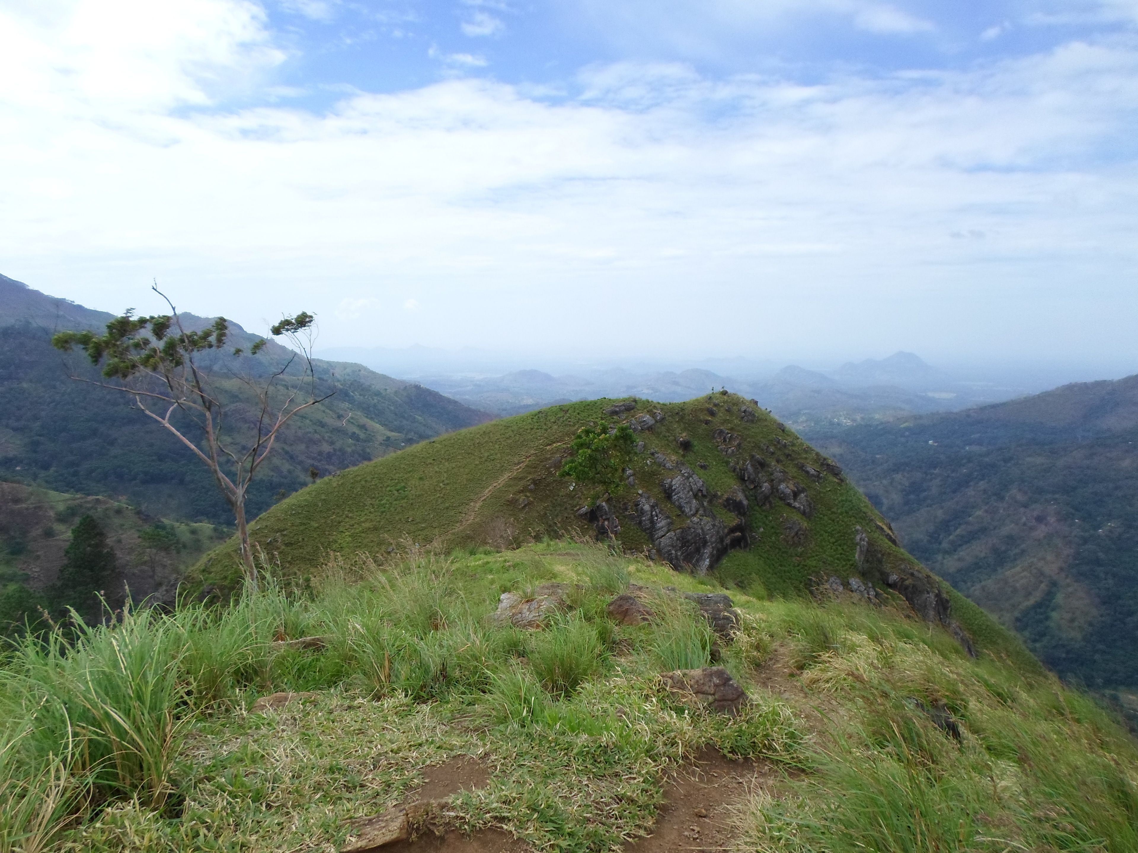 Khuôn viên nơi lưu trú