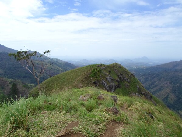 A mountainous landscape with a dirt path leading up to a grassy hill. - Samadhi Guest Inn Ella (Ella)