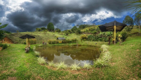 Property grounds - Finca Hotel La Kolorina (Jericó)