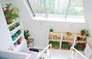 A bright room with a skylight, white walls, and shelves filled with plants and books.
