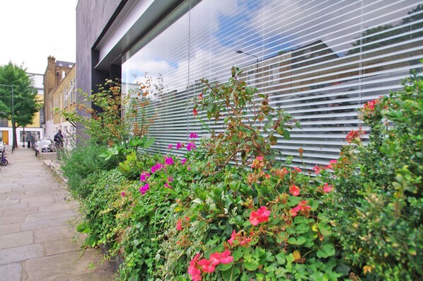 A pathway with a building featuring horizontal blinds and a garden with various plants and flowers.