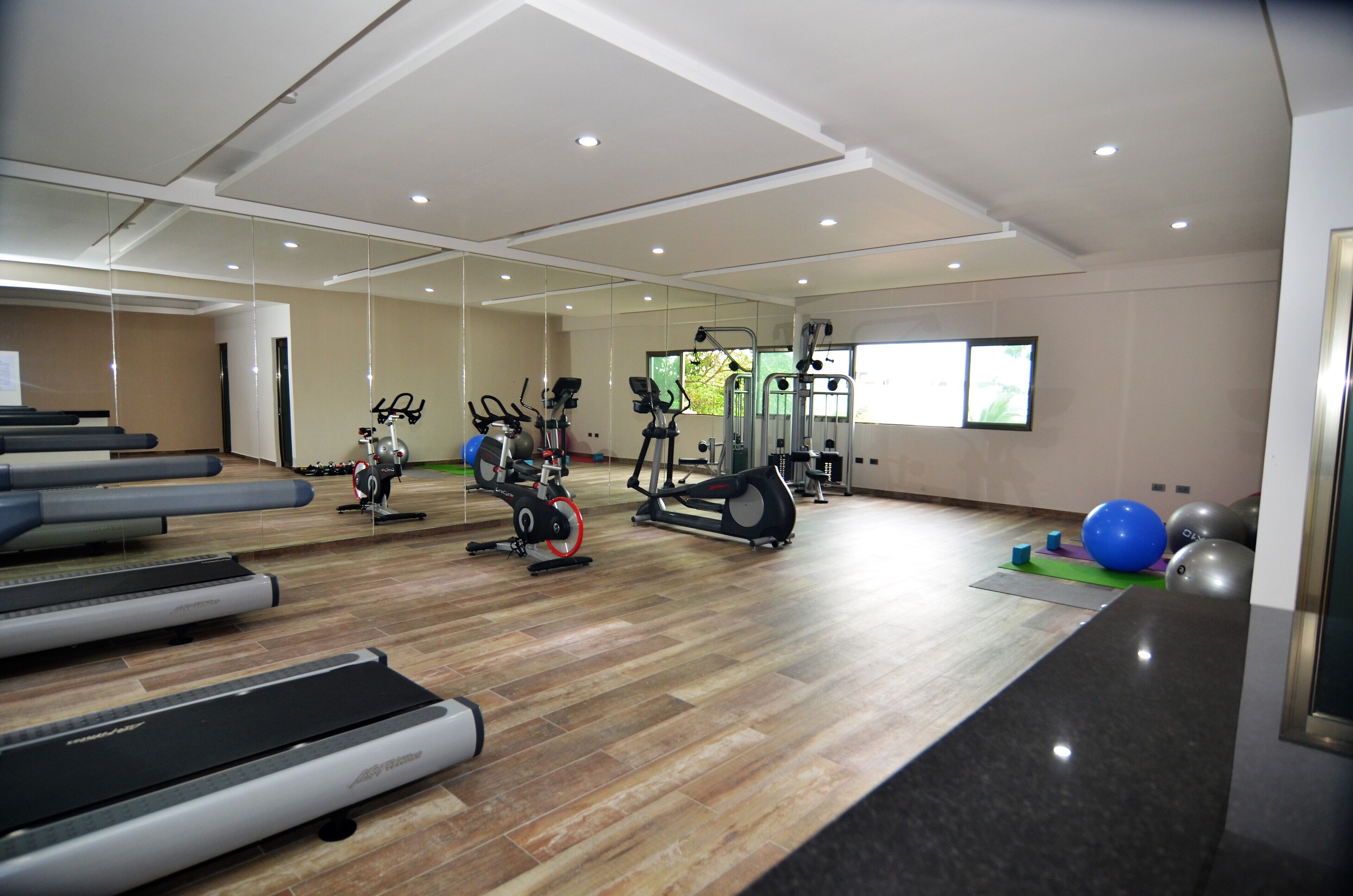 Une salle de sport équipée de tapis de course, de vélos d’appartement et de ballons d’exercice.