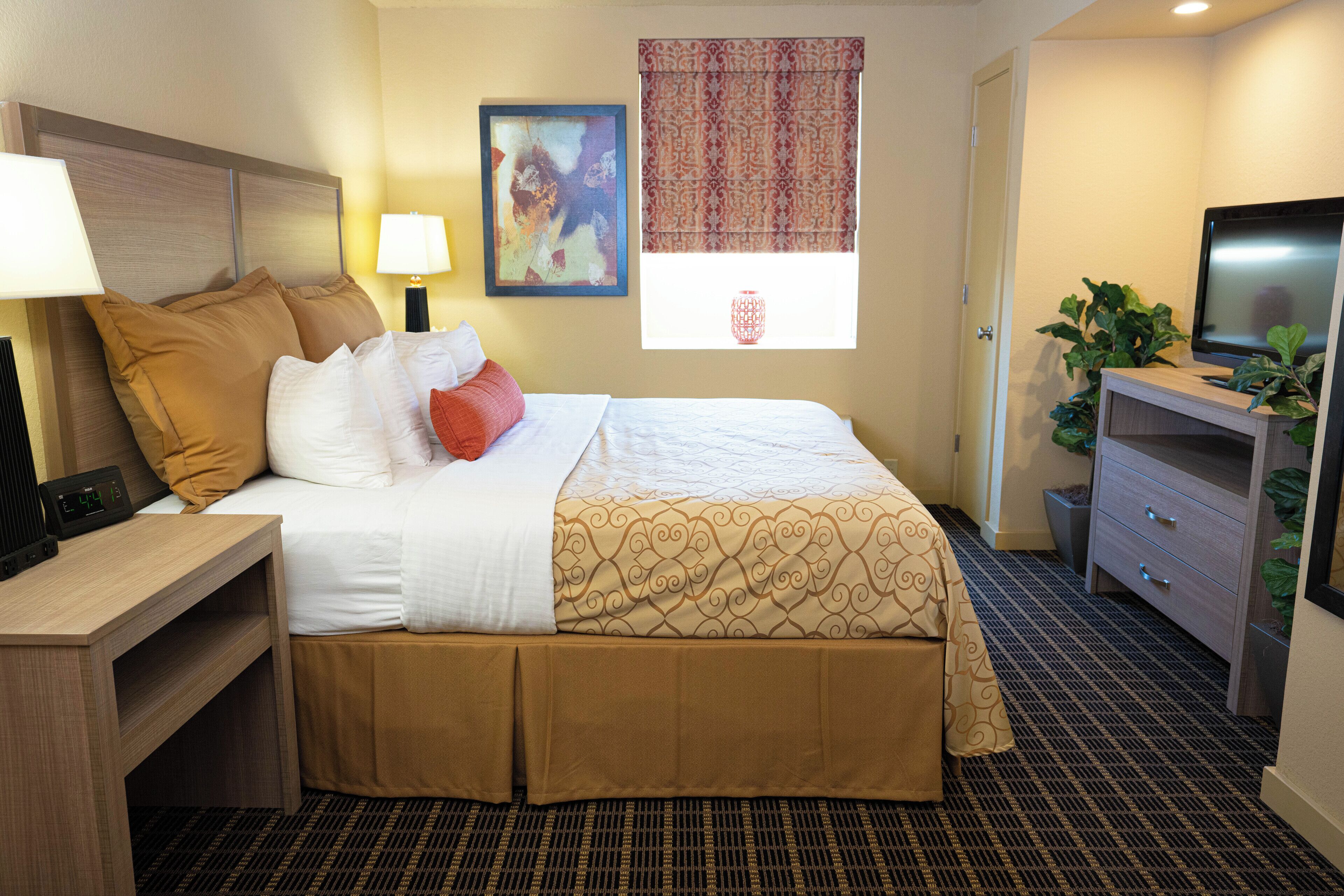 A hotel room with a bed, bedside table, lamp, artwork, window with curtains, television, and a plant.