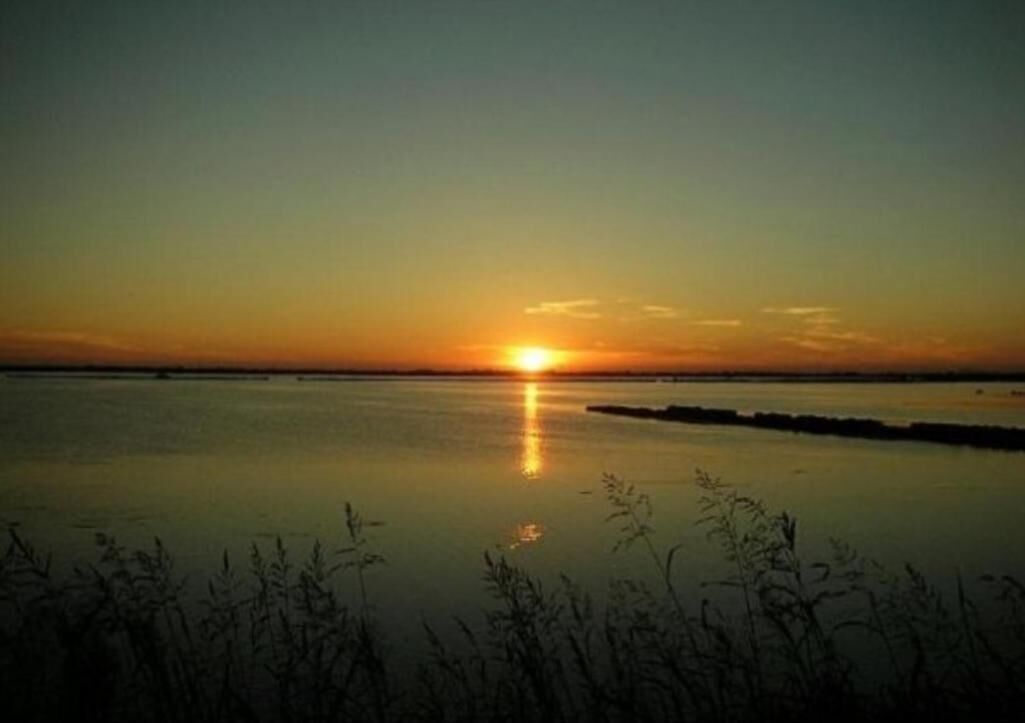 A sunset over a calm body of water with a visible horizon line and vegetation in the foreground.