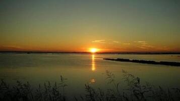 A sunset over a calm body of water with a visible horizon line and vegetation in the foreground.