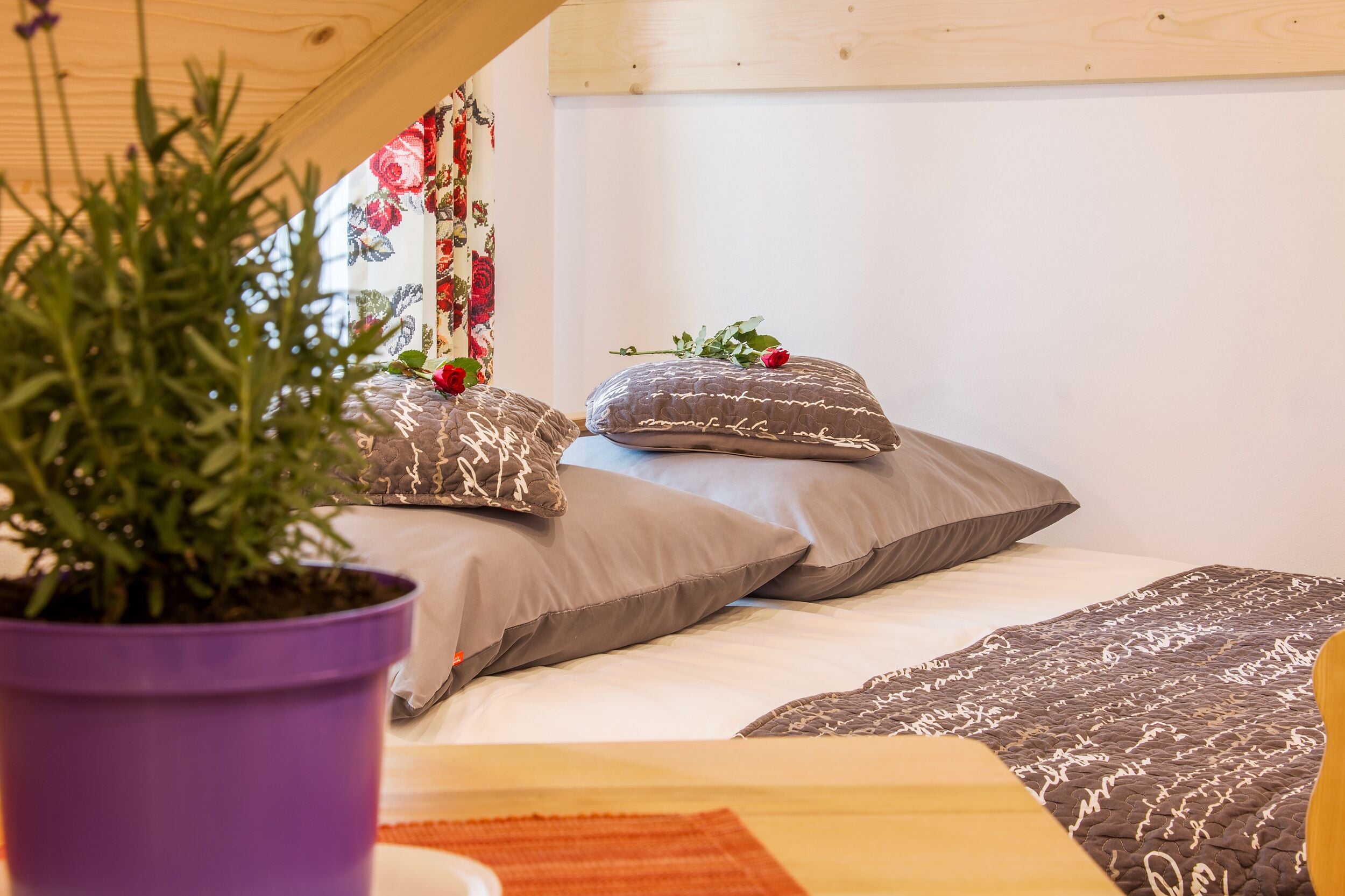 Photo - Willa Trebunia