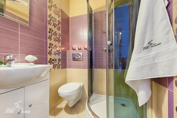 A bathroom with a glass shower enclosure, a white sink, and a toilet. - Willa Trebunia (Zakopane)