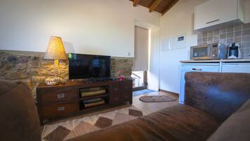 A living room with a stone wall, wooden entertainment unit, and a sofa. A kitchen is visible in the background with a microwave and coffee maker.