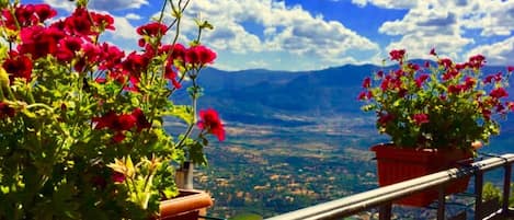 Vue sur les montagnes
