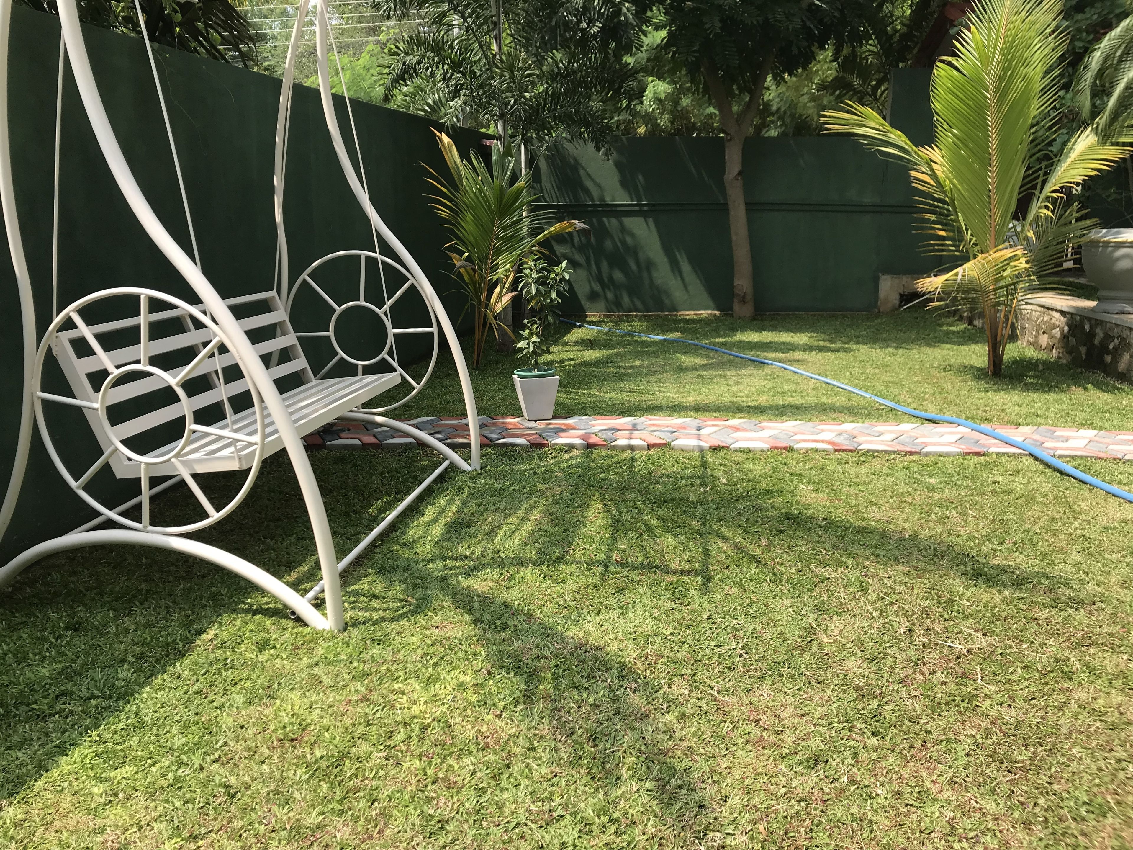 A garden with a white metal swing chair, a small potted plant, and a hose on the grass.