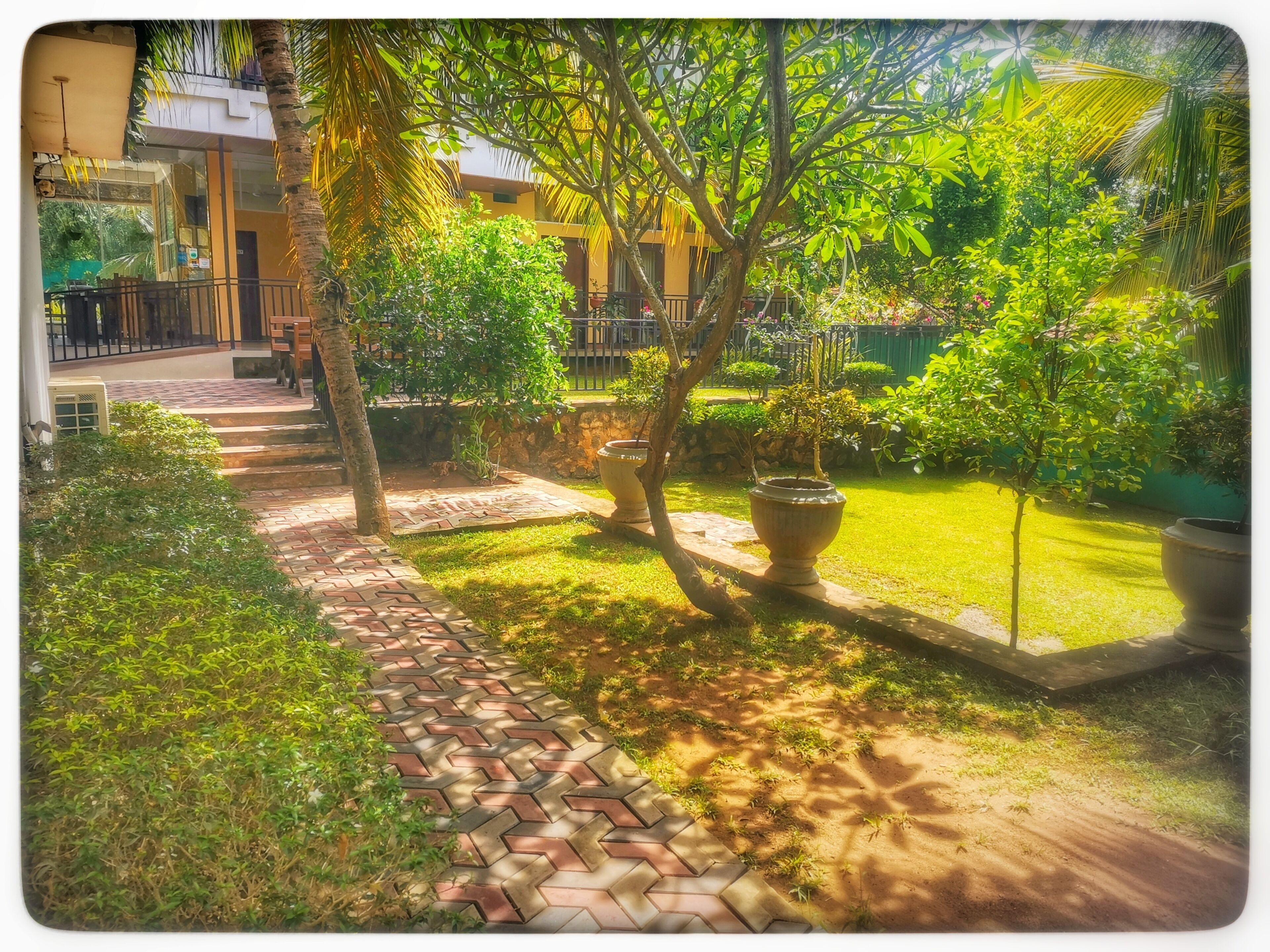 A courtyard with a paved walkway, potted plants, and a building in the background.