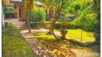 A courtyard with a paved walkway, potted plants, and a building in the background.