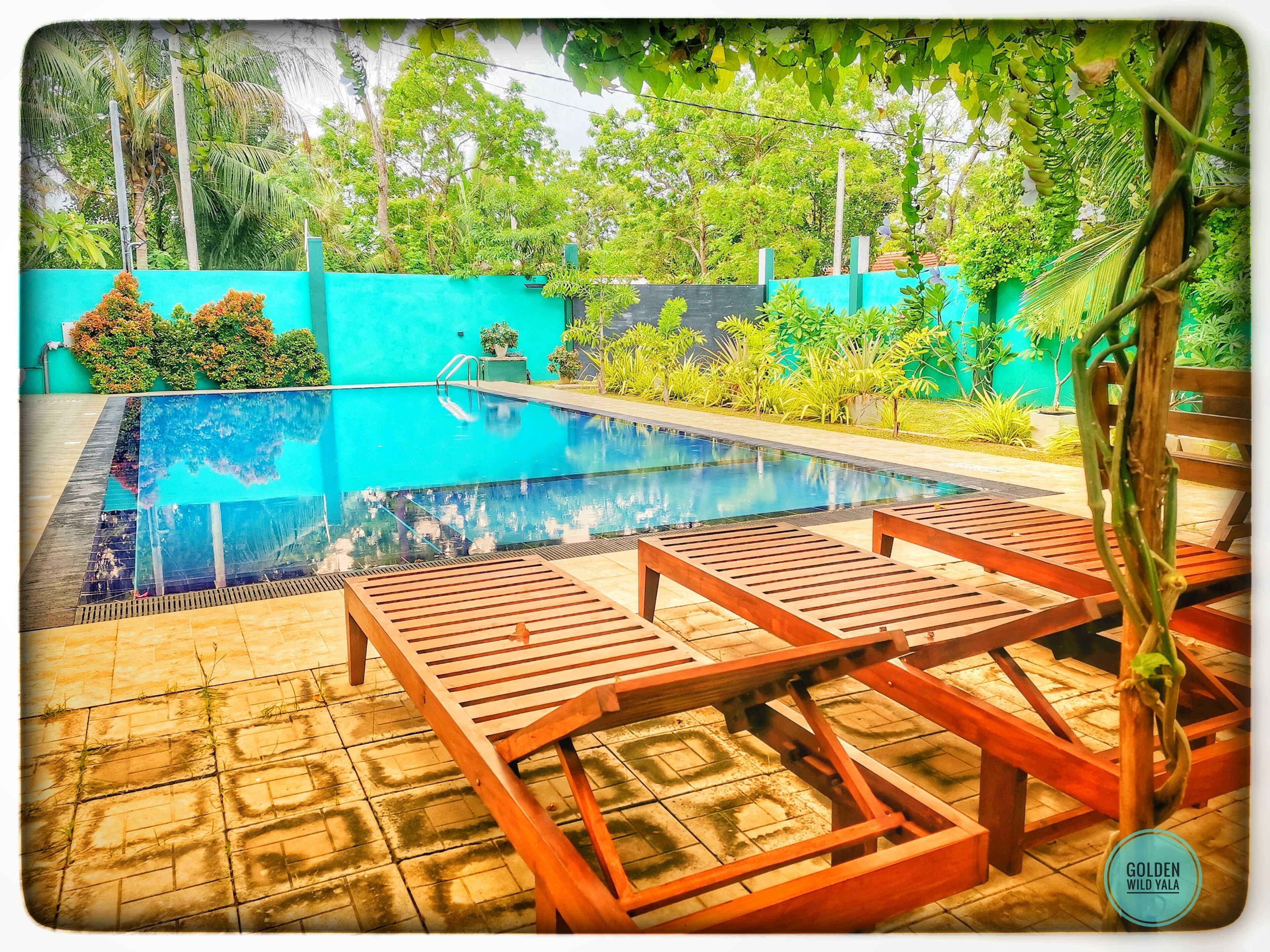A swimming pool with wooden loungers and a green wall.