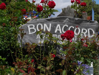 Bon Accord Backpackers