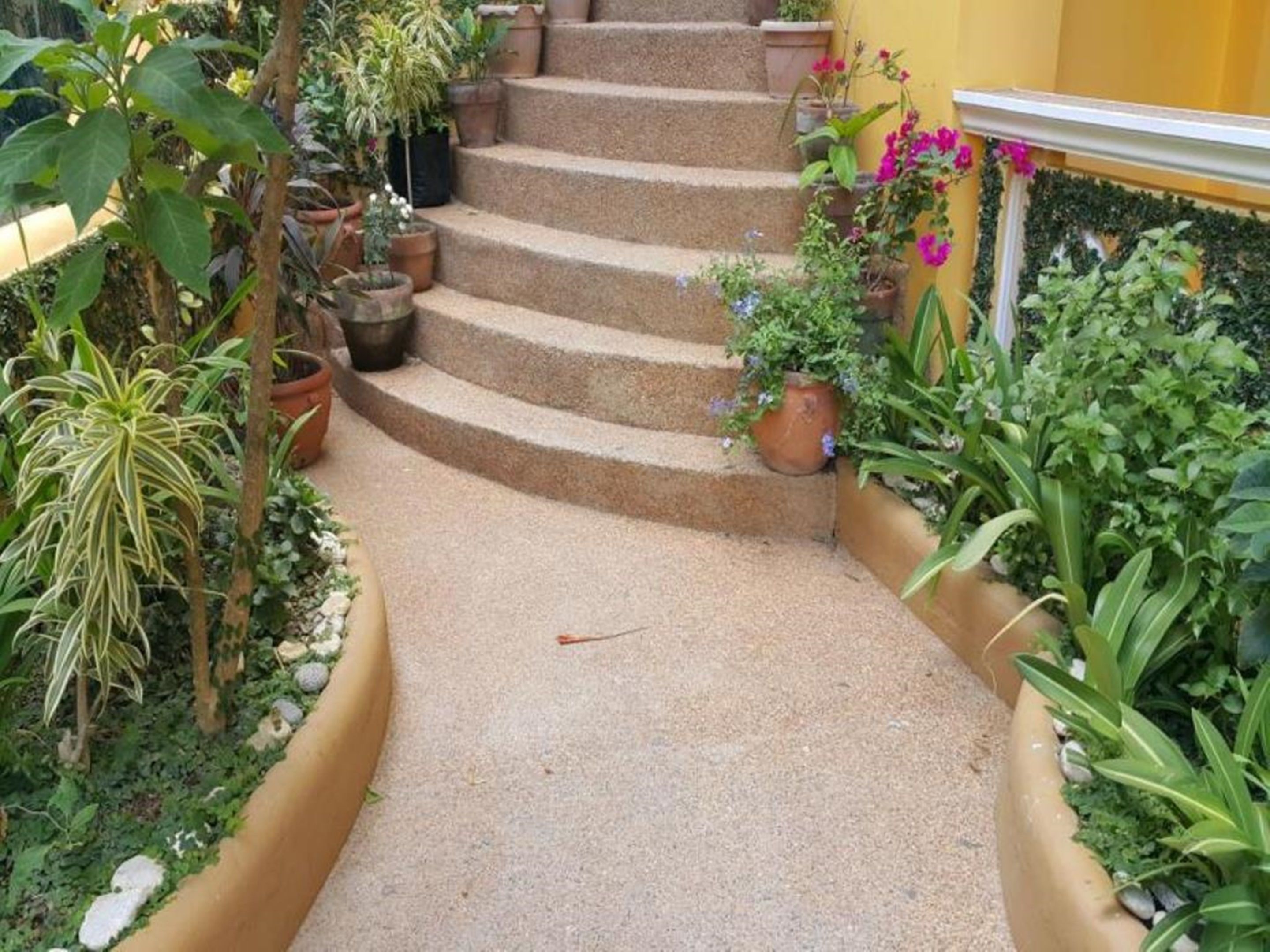 Un conjunto de escalones de piedra que conducen a una pared amarilla, rodeada de diversas macetas con plantas y follaje.