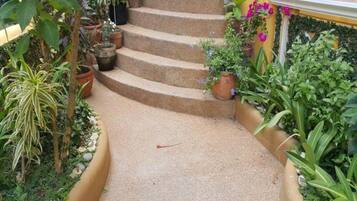 Un conjunto de escalones de piedra que conducen a una pared amarilla, rodeada de diversas macetas con plantas y follaje.