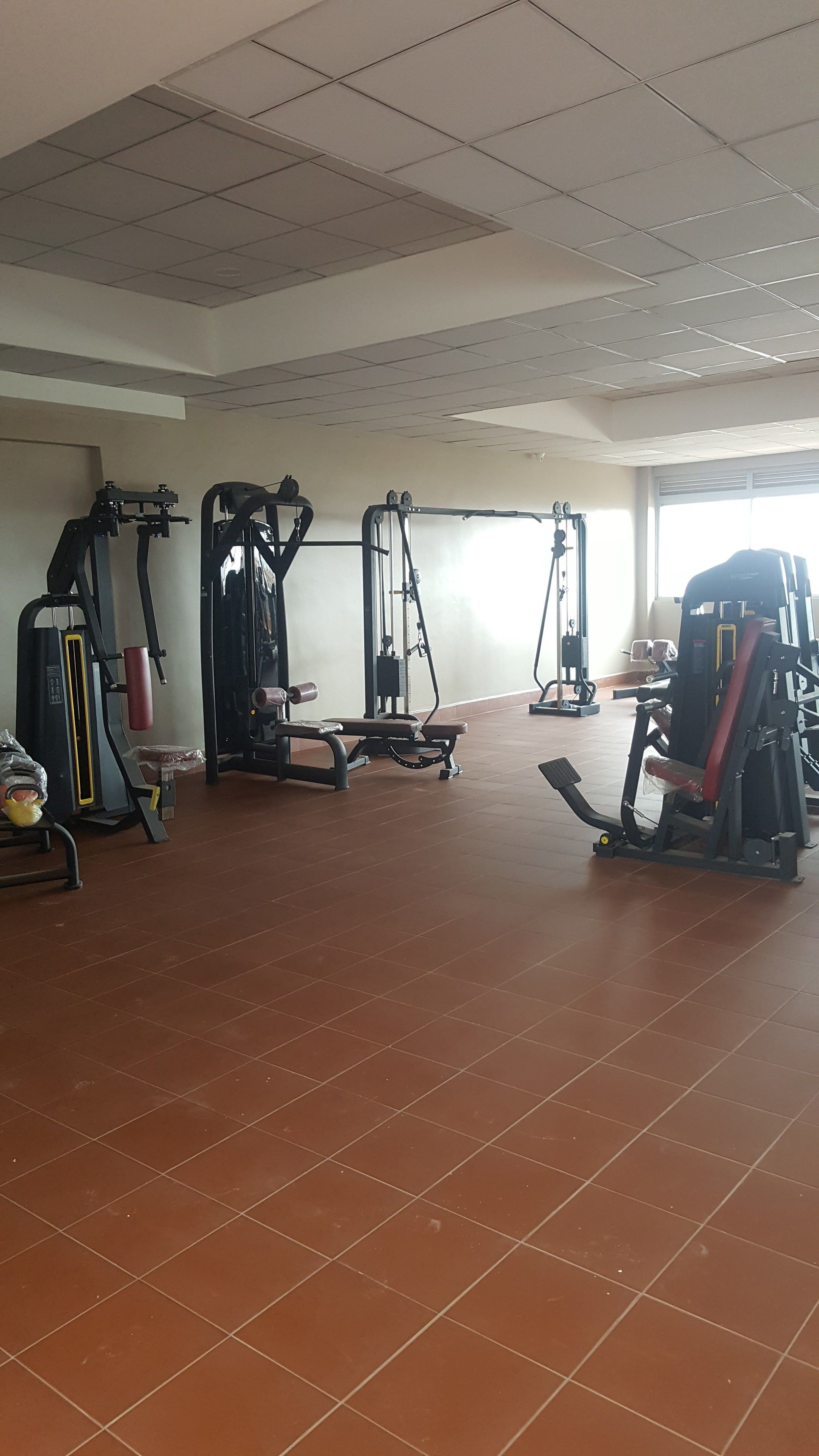 Une salle de sport spacieuse équipée de divers appareils d’exercice, d’un banc de développé couché et d’un téléviseur fixé au mur.