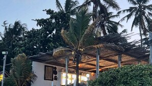 A beachside property with a covered outdoor seating area, palm trees, and a white lounge chair. - Coco Beach Hotel (Jambiani)