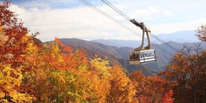 A cable car suspended over a mountainous landscape with autumn foliage. - Pension COME (Minamiuonuma)