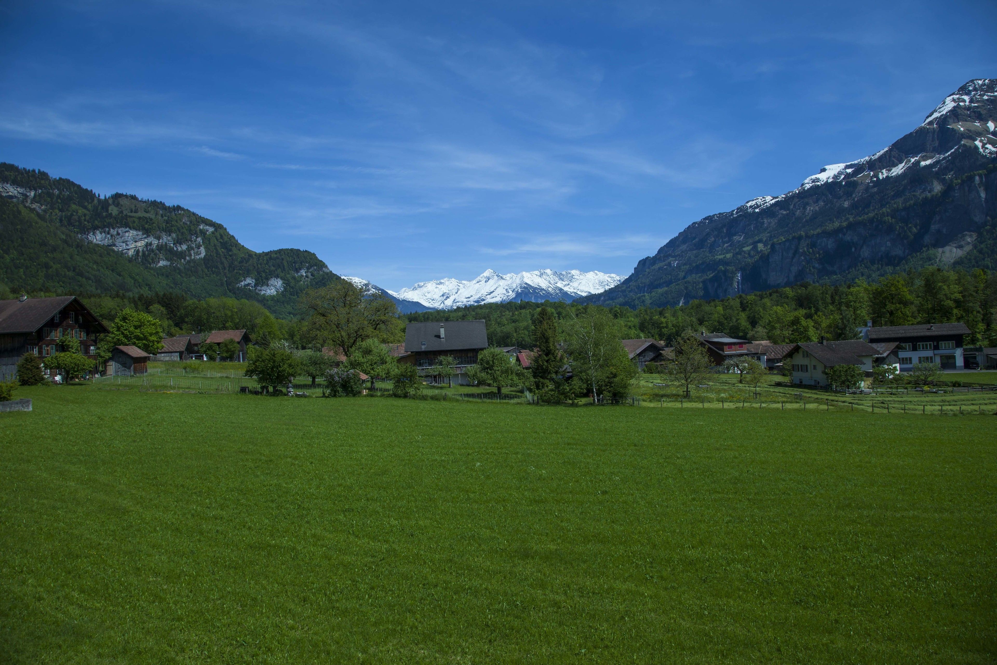 A rural village with houses and a mountain backdrop.