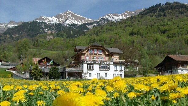 Un hotel con un letrero que dice "Landgasthof Alpenrose" en un campo de flores amarillas, con montañas al fondo.