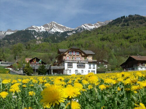 Hotel Alpenrose beim Ballenberg