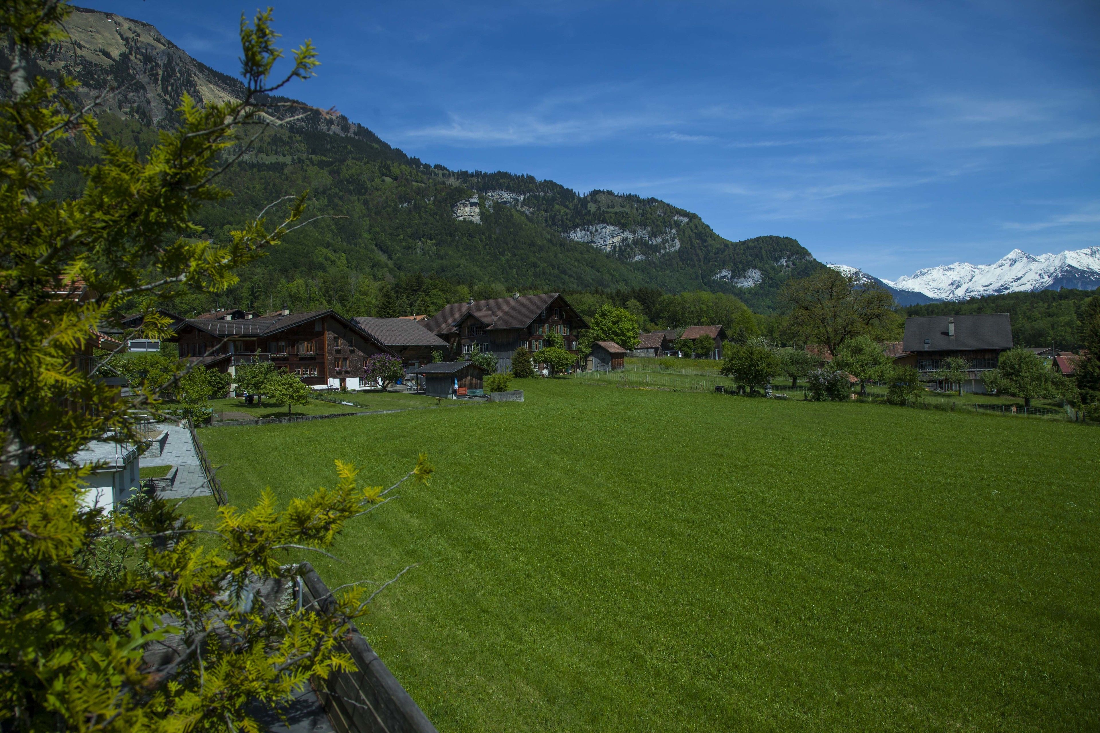 A rural village with traditional wooden houses, a large green field, and mountains in the background.