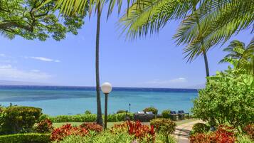 Condo, 1 Bedroom | Property grounds