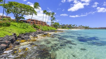 Condo, 1 Bedroom | Beach