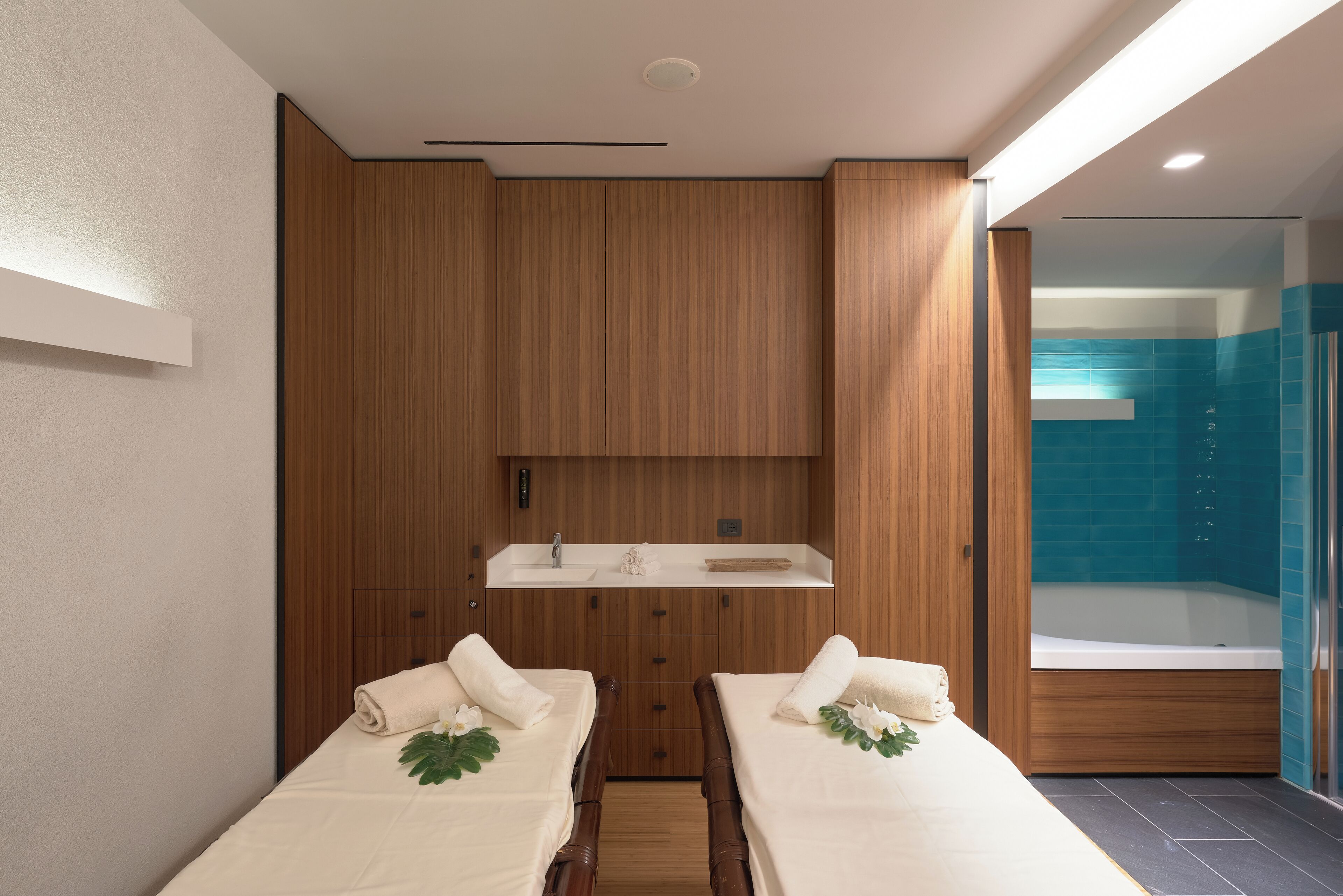 Sauna, boblebad, dampbad, varme kilder/mineralkilder