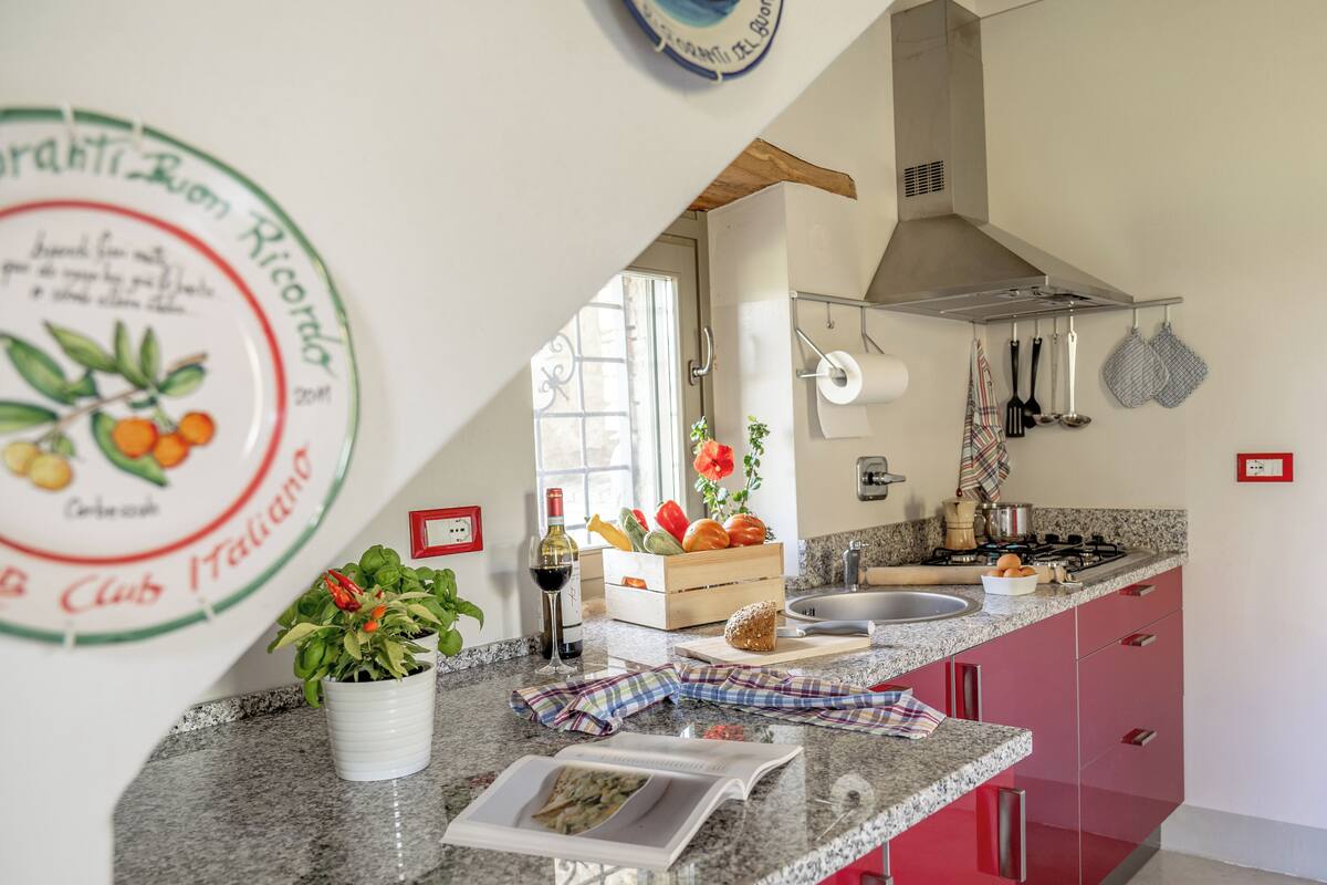 Cocina con encimeras de granito, horno empotrado y armarios rojos. Se ve una ventana con vistas al exterior, y una planta en maceta sobre la encimera.