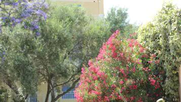 A hotel named "CAISTELLU" with a yellow facade, surrounded by lush greenery and flowering plants.