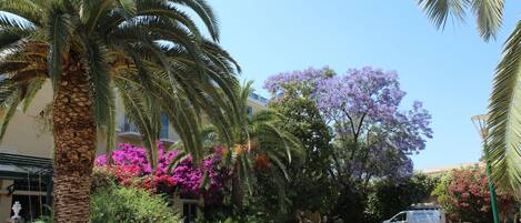 Une rue bordée de palmiers et de fleurs de bougainvilliers aux couleurs violettes, un fourgon blanc et un immeuble doté de balcons.
