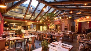 Ein Restaurant mit hohen Decken und Glasscheiben, Holztischen und -stühlen sowie einem zentral platzierten Baum.