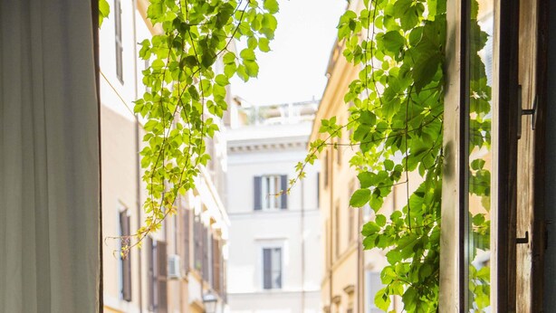 Ein Fensterplatz mit Blick auf eine Stadtstraße, eine Flasche und ein herzförmiges Handtuch.