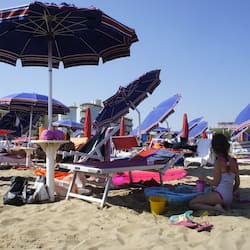 Servizio della struttura
