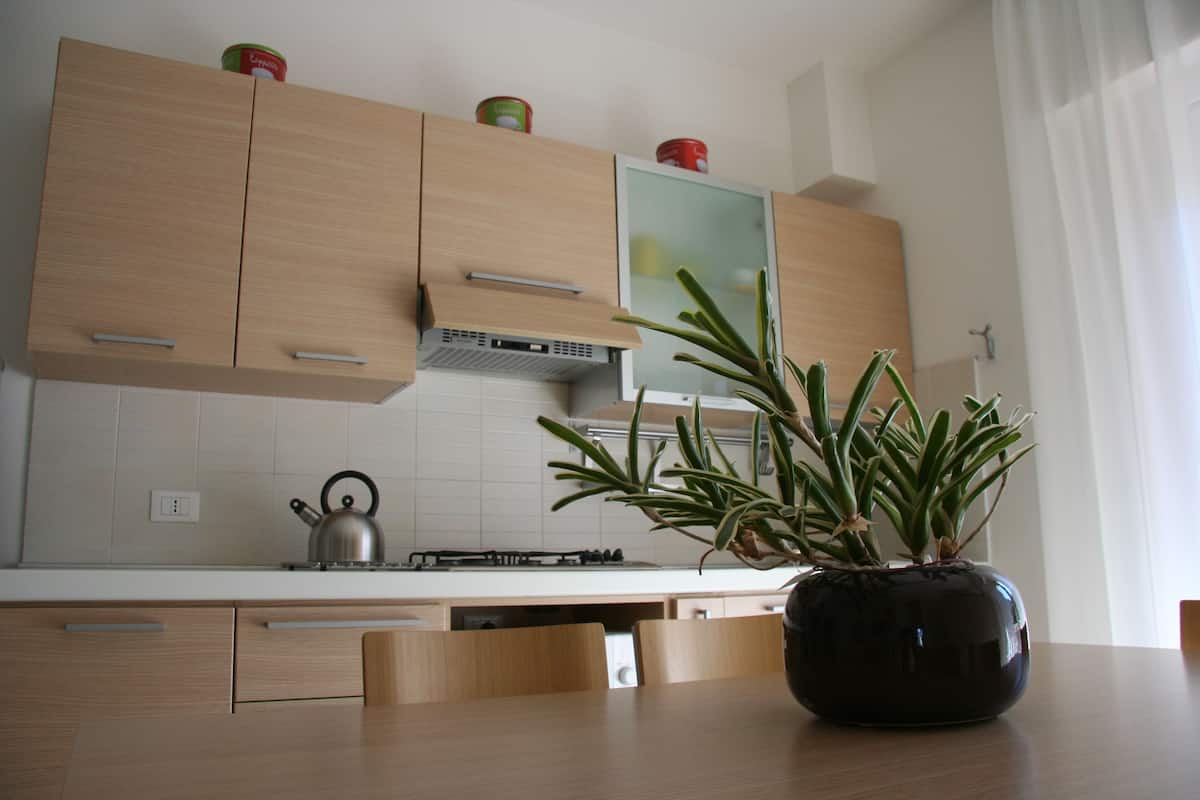 Apartment, 1 Bedroom, Terrace, City View | Private kitchen | Full-size fridge, microwave, stovetop, cookware/dishes/utensils