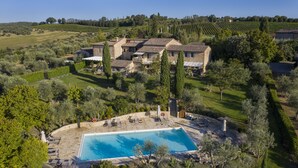A villa with a swimming pool surrounded by olive trees and a vineyard in the background.