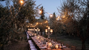 An outdoor dining area with a long table set for a meal, surrounded by trees and string lights.