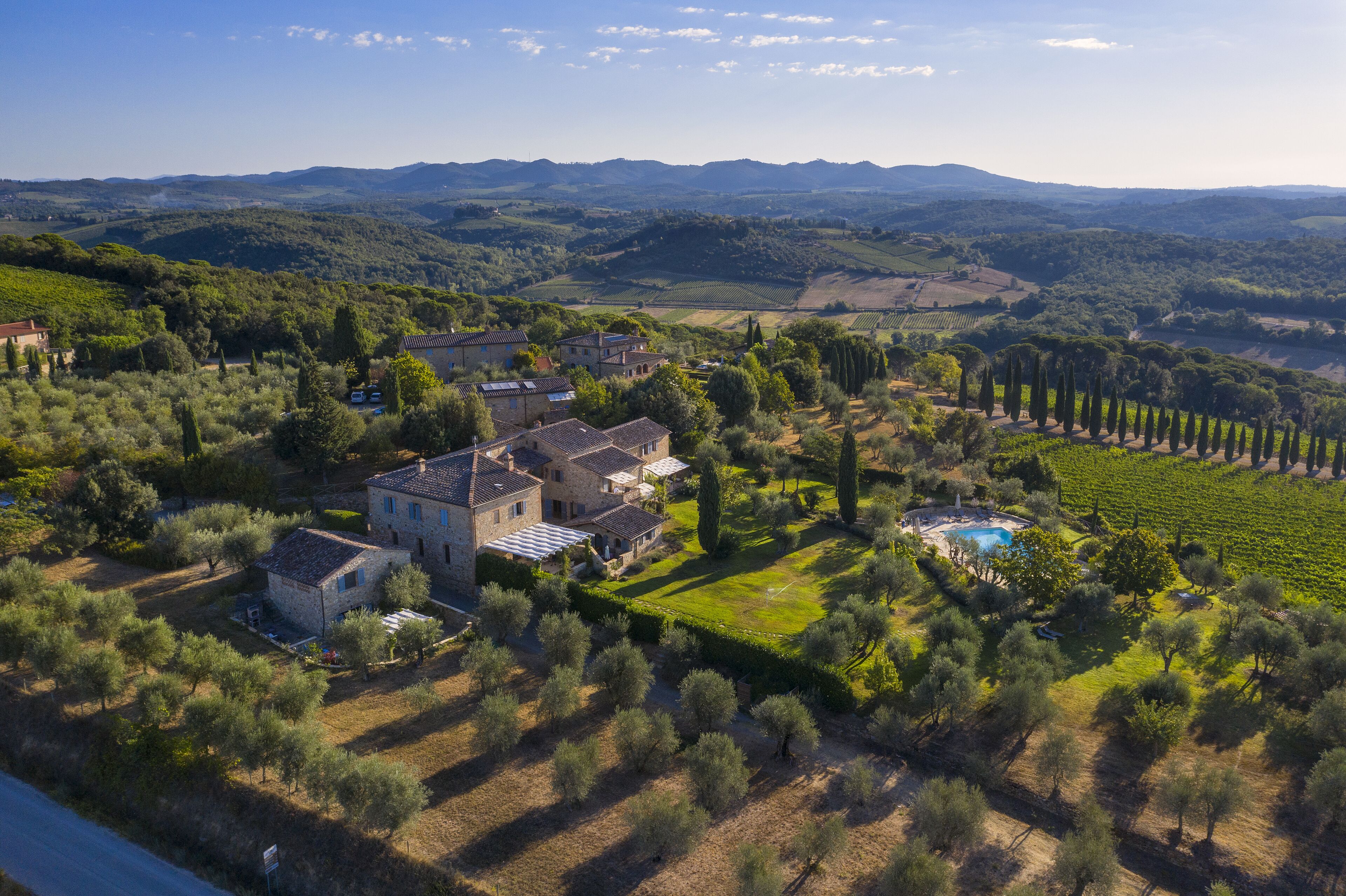 A large estate with multiple buildings, a swimming pool, and vineyards.